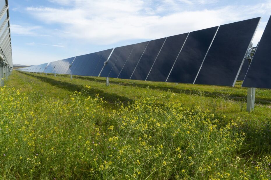 Solar Field Dallas